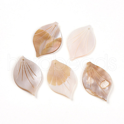 Natural Freshwater Shell Carved Pendants SHEL-N036-16-1