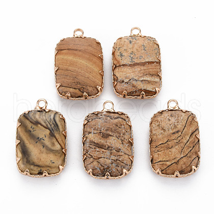 Natural Picture Jasper Pendants G-S359-290B-1