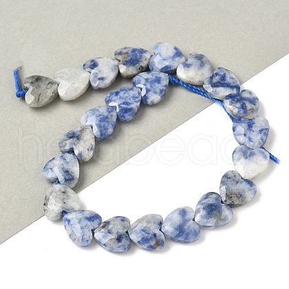 Natural Blue Spot Jasper Beads Strands G-D316-B10-1