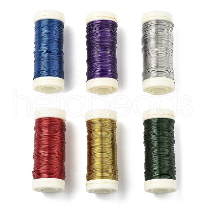 6 Rolls 6 Colors Baking Painted Iron Wire MW-K001-0.4mm-1