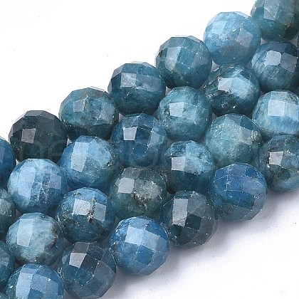 Natural Apatite Beads Strands X-G-S345-10mm-008-1