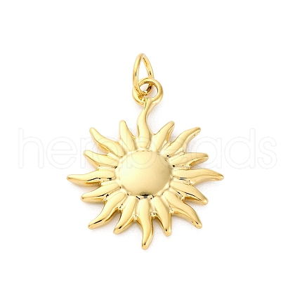 304 Stainless Steel Pendants STAS-U049-02A-01G-1