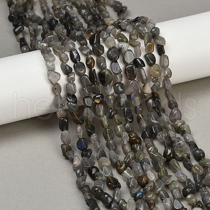 Natural Labradorite Beads Strands G-Q060-D02-1