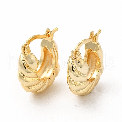 Rack Plating Brass Twist Rope Hoop Earrings for Women EJEW-H094-03G-1