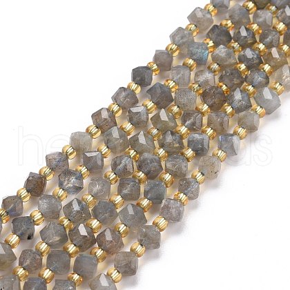 Natural Labradorite Beads Strands G-P463-35-1