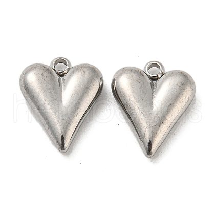 Non-Tarnish 304 Stainless Steel Charms STAS-L022-108P-07-1