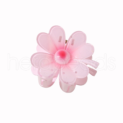 Resin Claw Hair Clips PW-WG87363-01-1