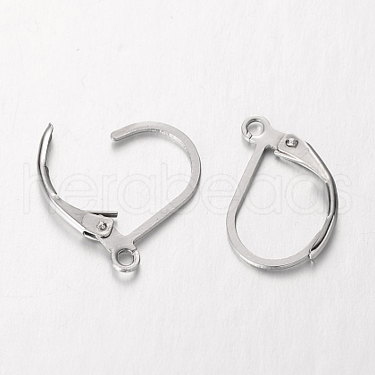 304 Stainless Steel Leverback Earring Findings STAS-O084-09-1