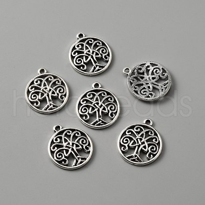 Tibetan Style Alloy Pendants FIND-CJC0009-48-1