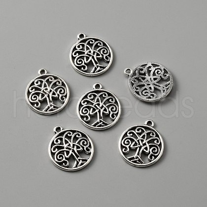 Tibetan Style Alloy Pendants FIND-CJC0009-48-1