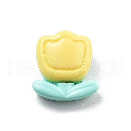Opauqe Resin Cabochon CRES-I039-01F-1