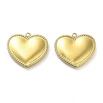 304 Stainless Steel Pendants STAS-L022-108G-03-1