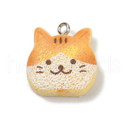 Opaque Resin Pendants RESI-Q020-05B-1