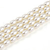 Baking Painted Pearlized Glass Pearl Bead Strands HY-T002-01C-02-3