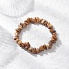 Natural Picture Jasper Beads Stretch Bracelets for Men Women BJEW-JB11845-1