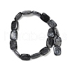 Natural Larvikite Beads Strands G-U018-H08-01-2