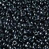 MIYUKI Round Rocailles Beads SEED-JP0009-RR0362-2