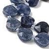 Natural Sodalite Beads Strands G-D316-A02-3
