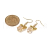Alloy & Glass Dangle Earrings EJEW-JE06361-02-4
