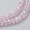 Electroplate Glass Beads Strands EGLA-F124-FR-B05-3