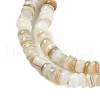 Natural Freshwater Shell Beads Strands X-BSHE-H109-13A-4