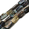 Natural Abalone Shell/Paua Shell Beads Strands BSHE-D300-01B-1