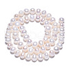 Natural Cultured Freshwater Pearl Beads Strands PEAR-N013-06R-4