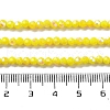 Opaque Glass Beads Strands EGLA-A035-P3mm-L04-4