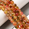 Natural Dyed White Jade Beads Strands G-M402-C04-27-5