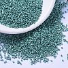 MIYUKI Delica Beads SEED-X0054-DB1183-1