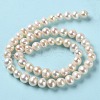 Natural Cultured Freshwater Pearl Beads Strands PEAR-E018-38-3