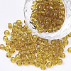 Glass Seed Beads SEED-US0003-3mm-2C-1
