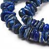 Natural Lapis Lazuli Stone Bead Strands X-G-R192-13-4