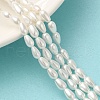 Electroplate Shell Pearl Beads Strands BSHE-G010-4x6mm-01-2