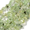 Natural Prehnite Beads Strands G-P332-41A-1