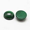 Dome Natural Malachite Cabochons G-O146-03D-2