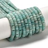 Natural Amazonite Beads Strands G-P575-B41-4x2mm-2