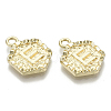 Alloy Pendants PALLOY-N157-003E-NR-2