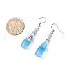 Resin Cocktail Pendants & 304 Stainless Steel Dangle Earrings for Women EJEW-JE06406-3