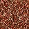 TOHO Round Seed Beads SEED-JPTR11-1707-2