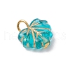 Acrylic with Iron Pendants PALLOY-JF03684-4