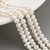 Natural Cultured Freshwater Pearl Beads Strands PEAR-C003-07B-1