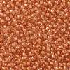 TOHO Round Seed Beads SEED-JPTR11-0963-2