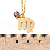 304 Stainless Steel Glass Drill Birth Stone Constellation Pendant Necklaces STAS-D305-08G-F-2
