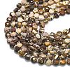 Natural Zebra Jasper Beads Strands G-K389-B69-01-3