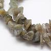 Natural Labradorite Beads Strands G-F521-13-3