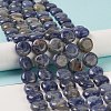 Natural Sodalite Beads Strands G-M403-C11-2