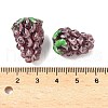 Handmade Lampwork Enamel Beads LAMP-U004-07D-4