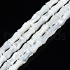 Natural Trochid Shell/Trochus Shell Beads Strands SSHEL-N034-122-B01-1