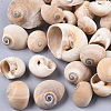 Natural Conch Shell Beads SSHEL-S258-78-1